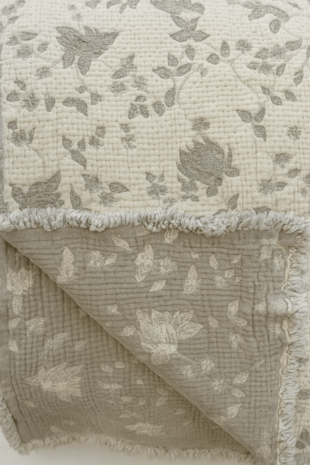 MOCHA E.G - Authentic Cotton